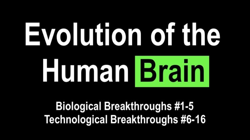 Evolution of the Human Brain… Biological Breakthroughs #1-5 ...
