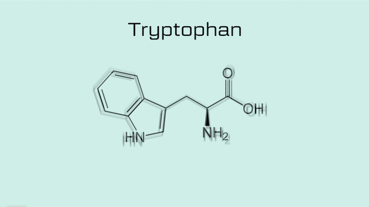 TRYPTOPHAN