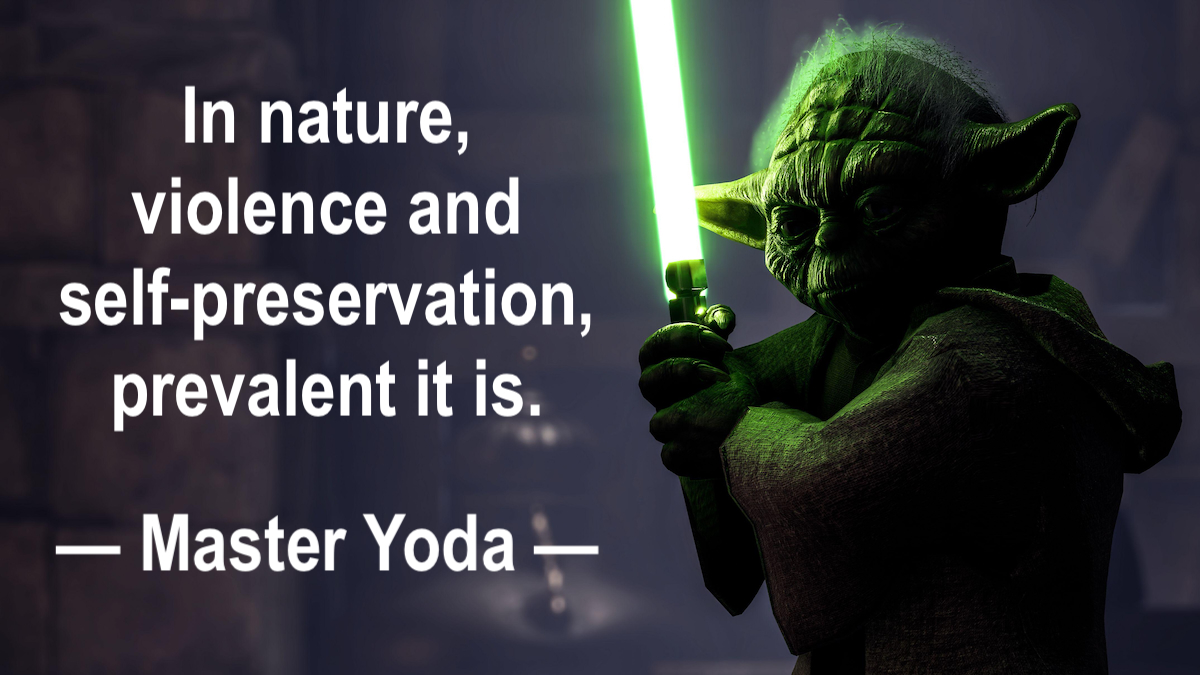 master yoda in nature