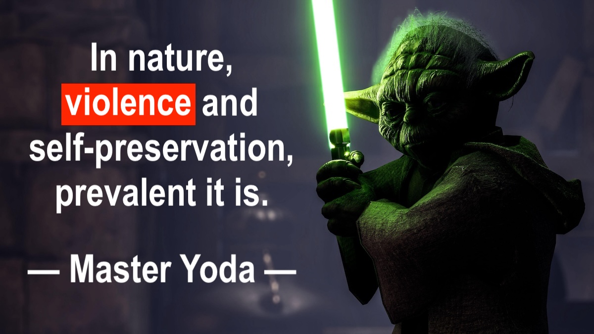 master yoda in nature