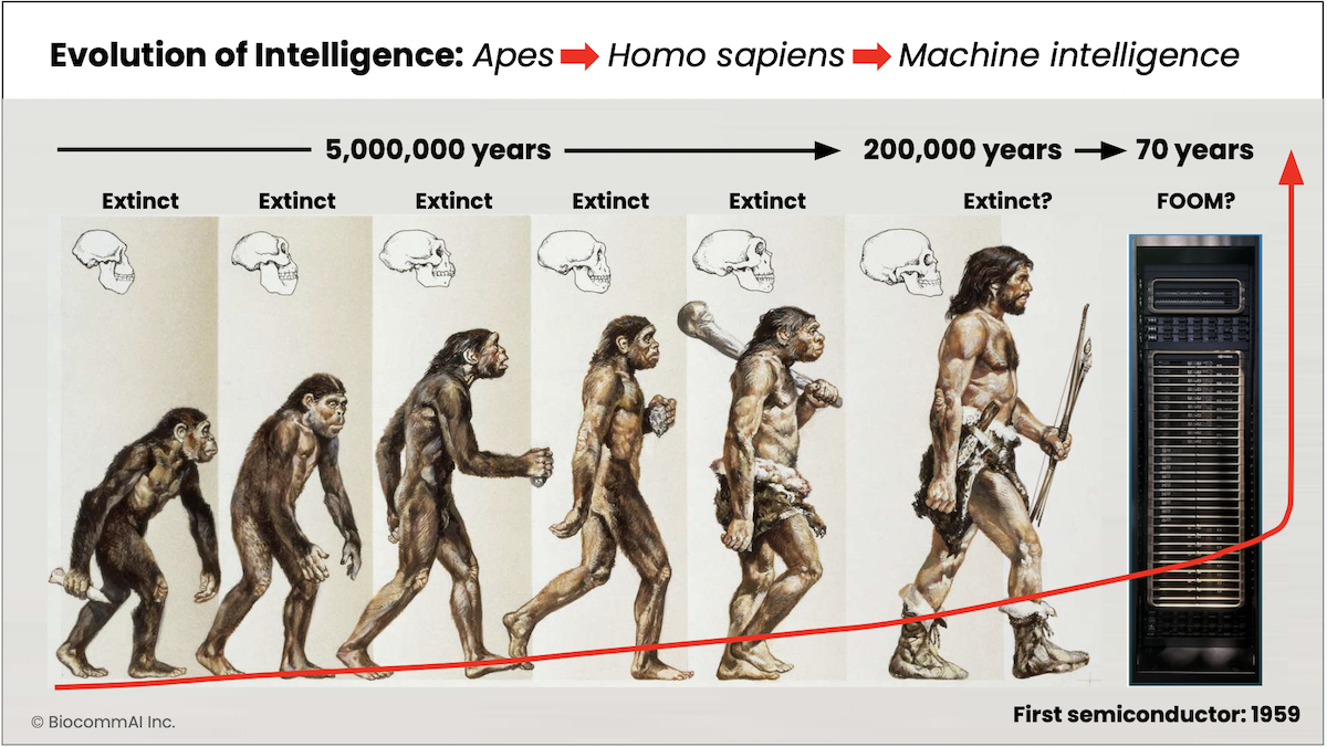 Human Intelligence and Machines