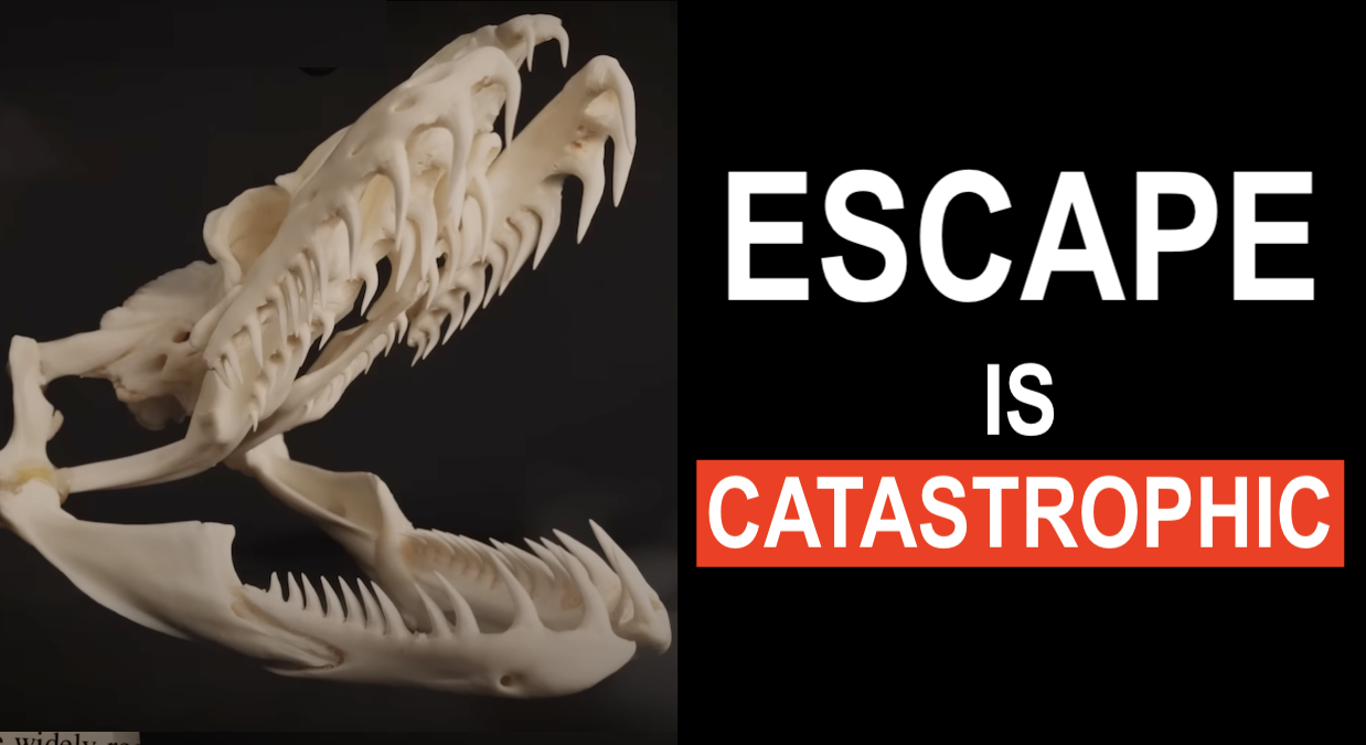 escape